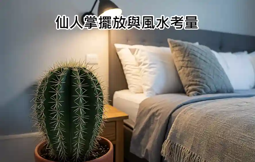 仙人掌擺放與風水考量
