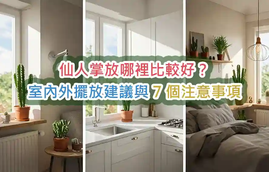 仙人掌放哪裡比較好?室內外擺放建議與 7 個注意事項