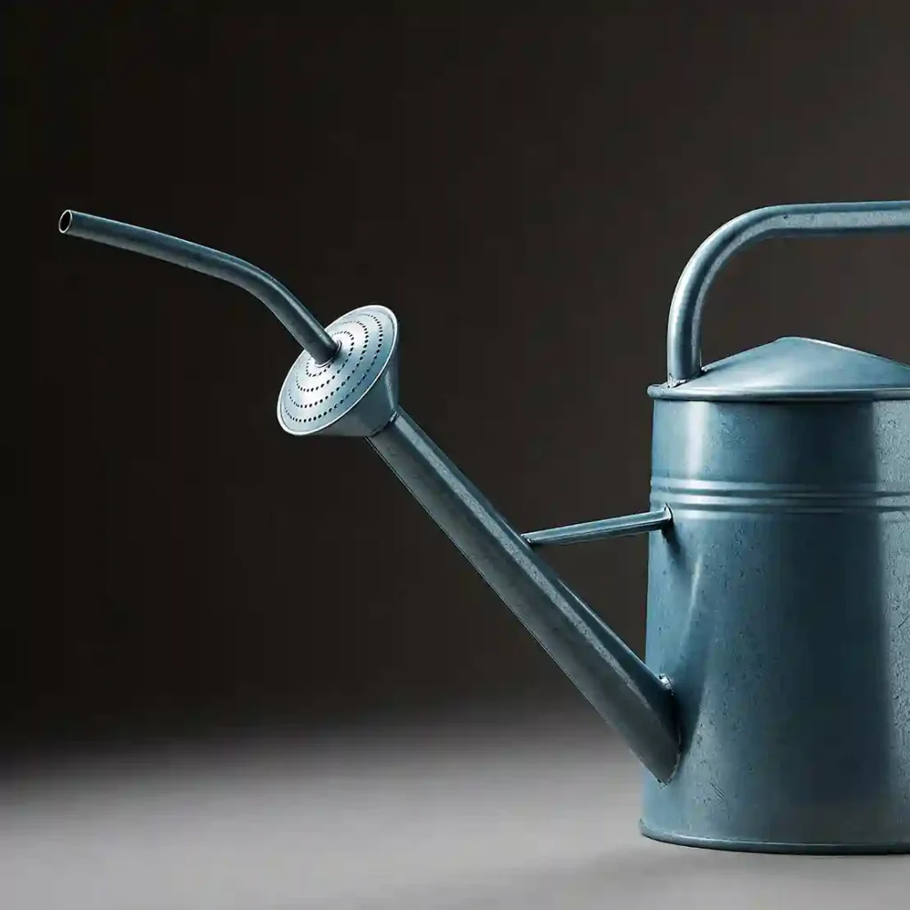 實用工具與建議