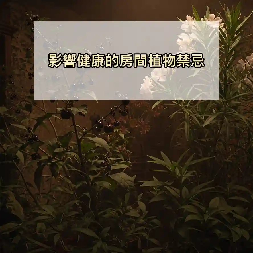 影響健康的房間植物禁忌