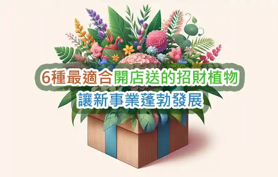 6種最適合開店送的招財植物：讓新事業蓬勃發展