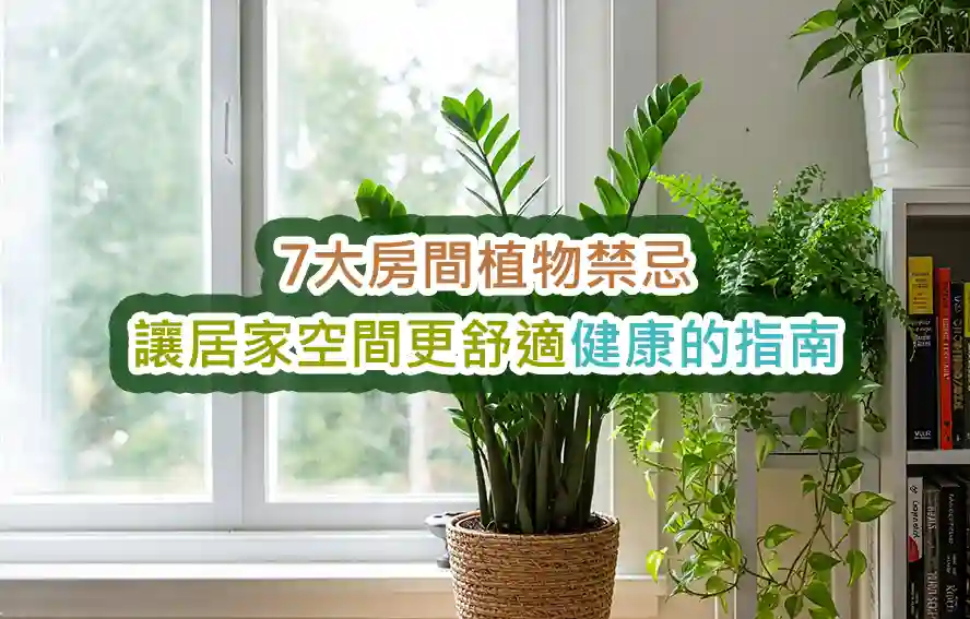 7大房間植物禁忌:讓居家空間更舒適健康的指南