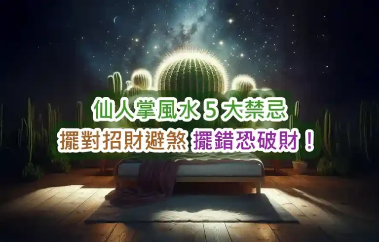 仙人掌風水 5 大禁忌：擺對招財避煞，擺錯恐破財！