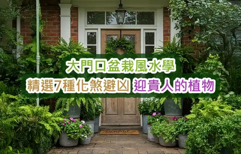 大門口盆栽風水學：精選7種化煞避凶、迎貴人的植物