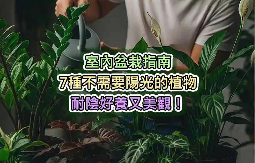 室內盆栽指南:7種不需要陽光的植物,耐陰好養又美觀!