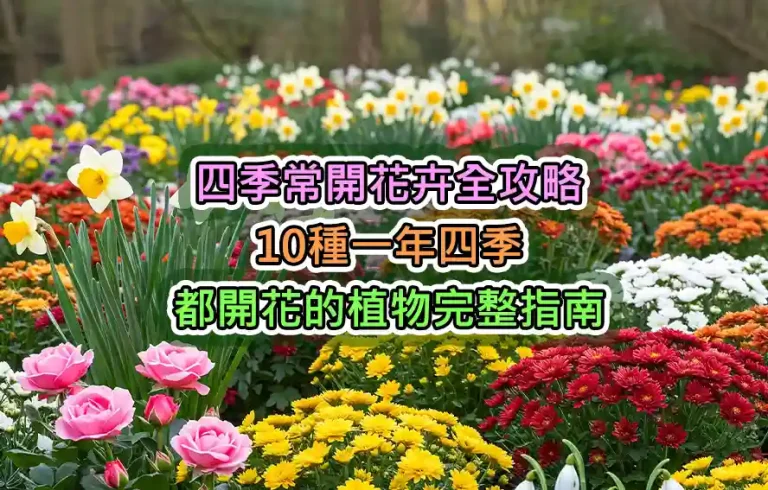 四季常開花卉全攻略：10種一年四季都開花的植物完整指南