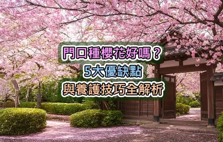 門口種櫻花好嗎？5大優缺點與養護技巧全解析