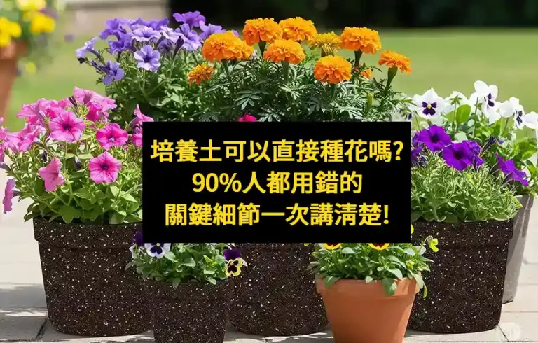 培養土可以直接種花嗎？90%人都用錯的關鍵細節一次講清楚！